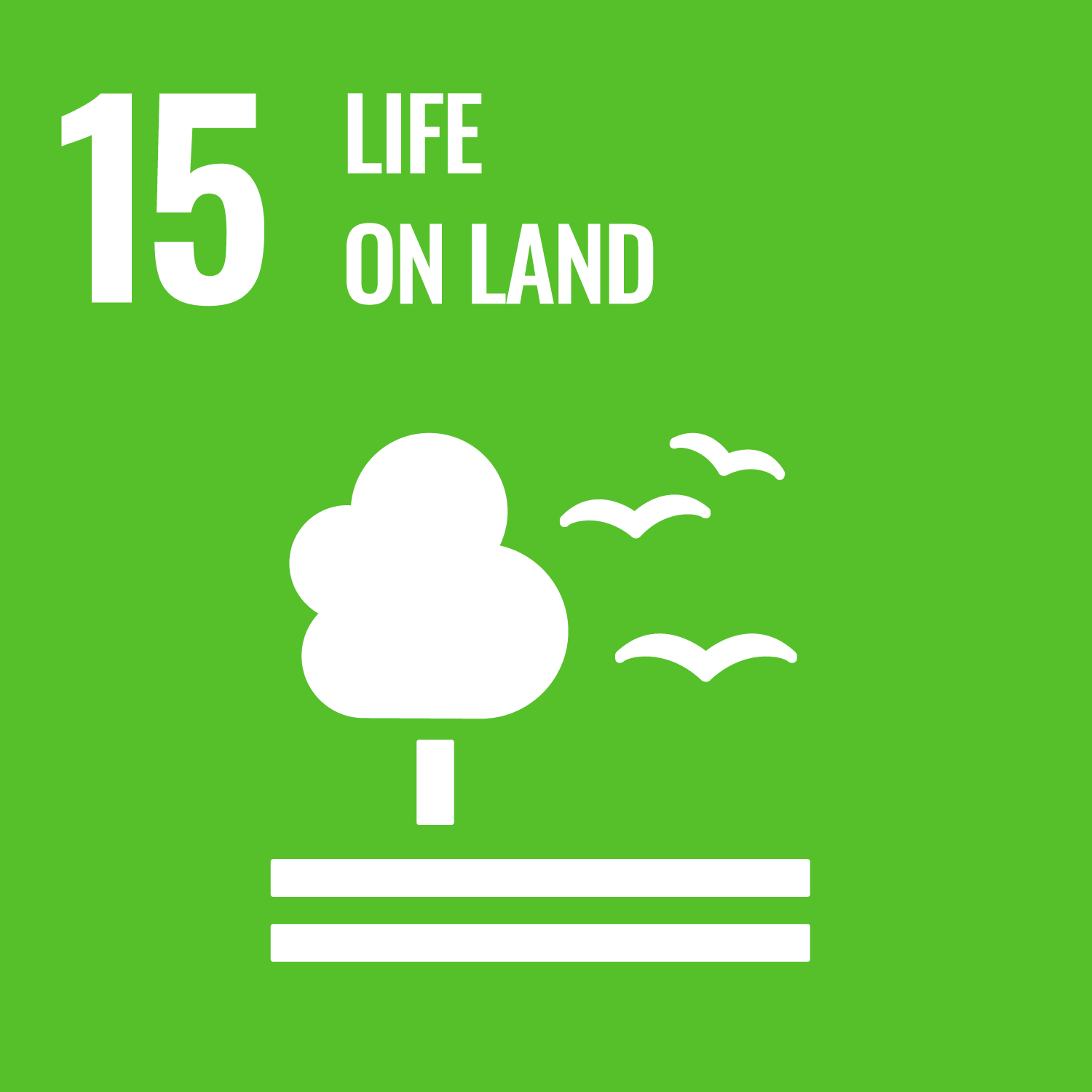 SDG 15 icon | Life on Land | STAF Corporation