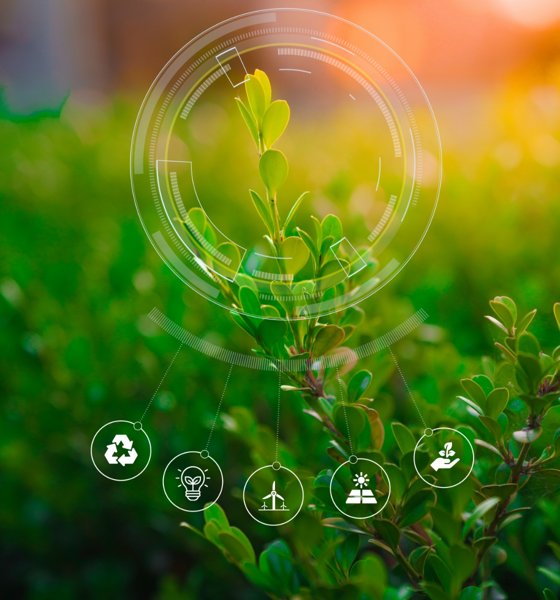 サスティナビリティ